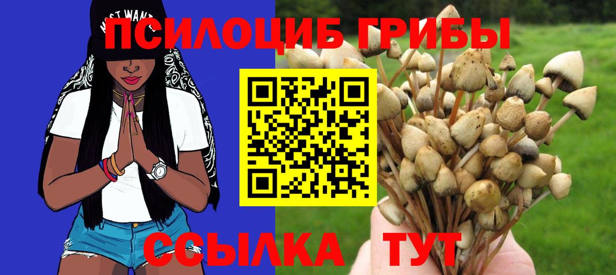 Галлюциногенные грибы мицелий Ставрополь